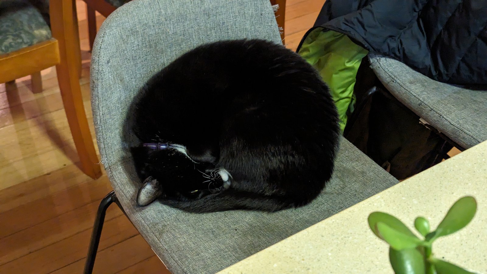 Luci